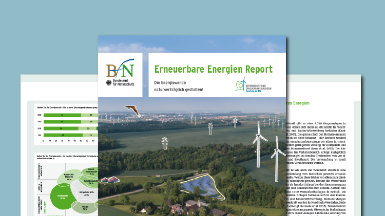 [Translate to English:] Titelseite des EE-Reports