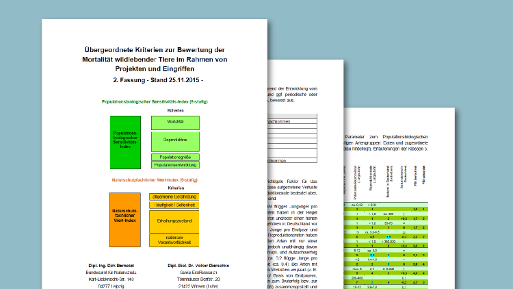 Das Deckblatt der Publikation