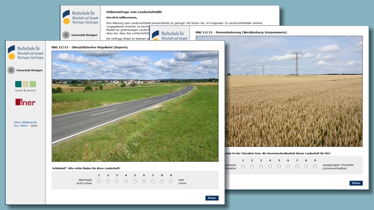 Mehrere Screenshots der Online-Befragung