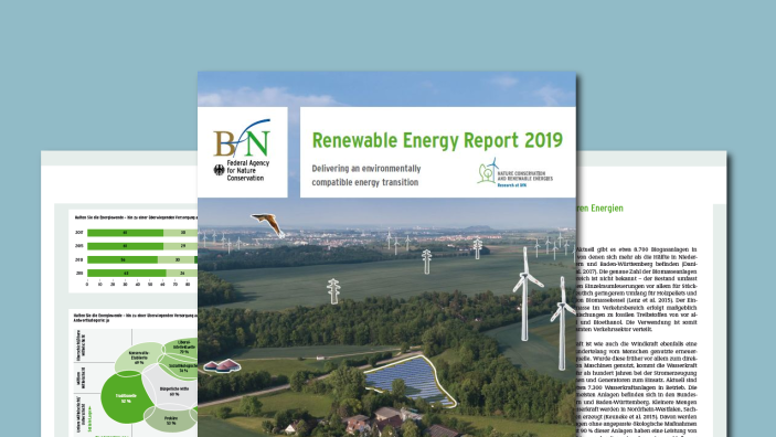 Einige Seiten aus dem EE-Report