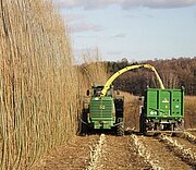Ein Mähfahrzeug auf einem Feld mit Weidengehölz