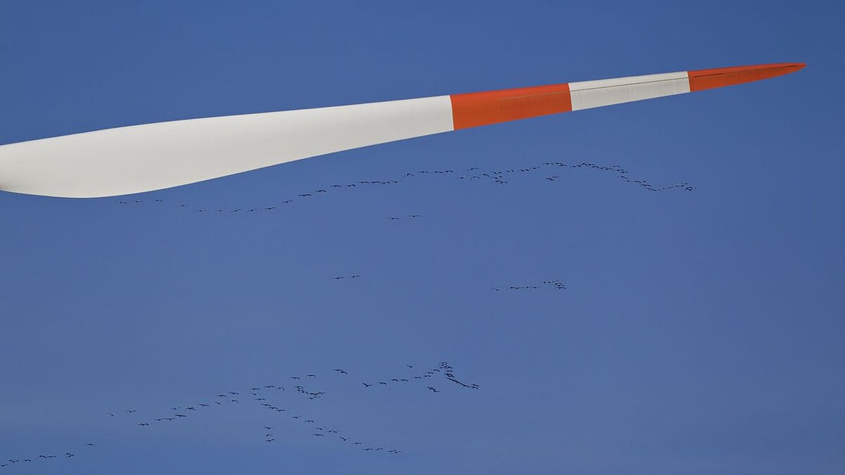 Flügel eines Windrades, dahinter ein Vogelschwarm