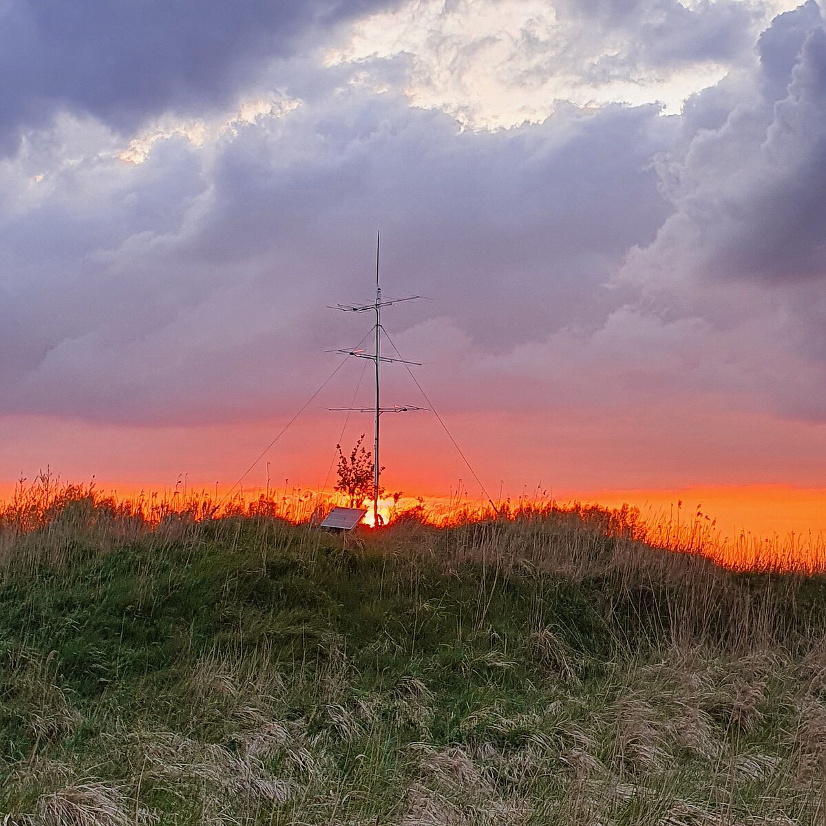 Mobile Antennne vor Abendhimmel