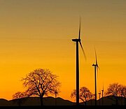 Windräder vor Sonnenuntergang