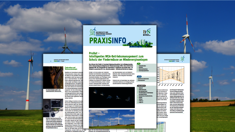 Eine Ausgabe der Praxisinfo, im Hintergrund ein Foto von Windrädern auf einem Feld