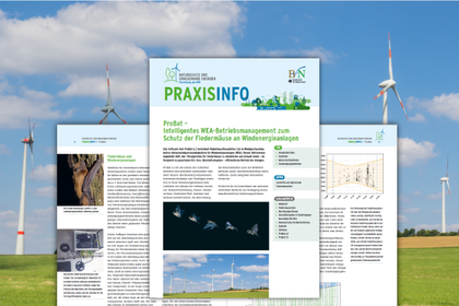 Eine Ausgabe der Praxisinfo, im Hintergrund ein Foto von Windrädern auf einem Feld