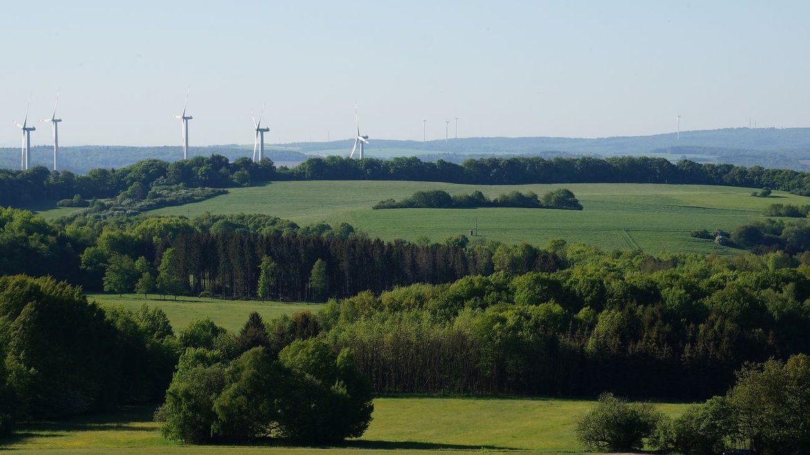 Grüne Landschaft mit Windrädern im Hintergrund