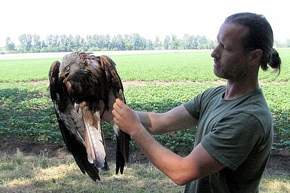 Wissenschaftler hält den Greifvogel auf dem Arm