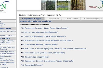 Screenshot der Datenbank