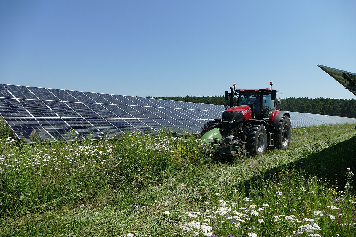Traktor mit Frontmähwerk schneidet den Pflanzenaufwuchs vor einer Modulreihe in einem Solarpark.