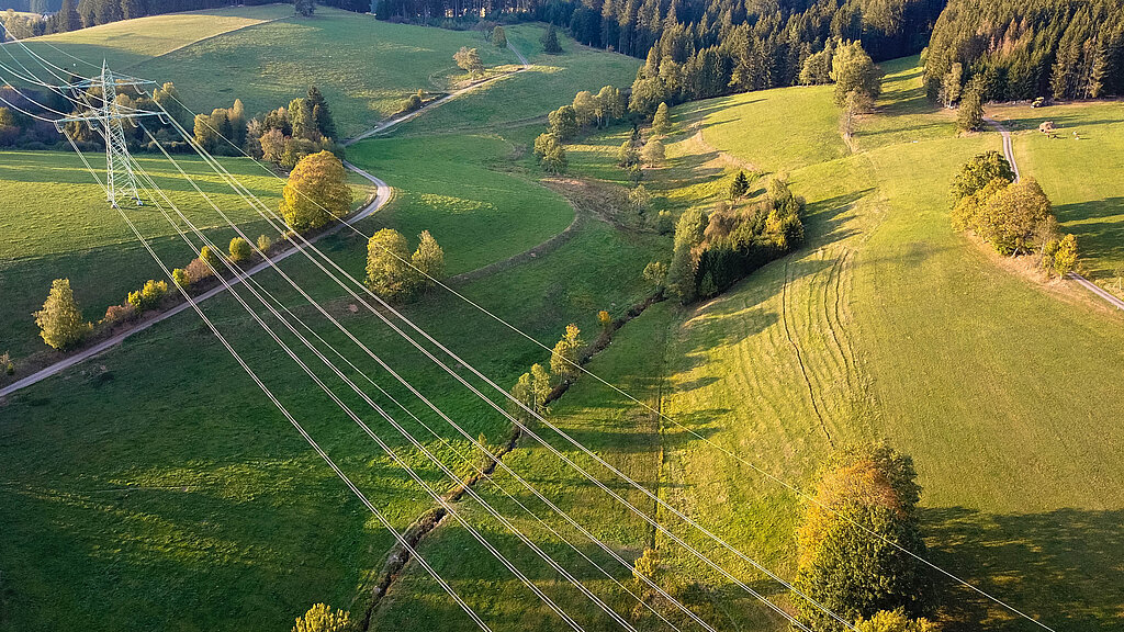 Eine grüne Landschaft im Sonnenschein, eine Stromtrasse führt hindurch