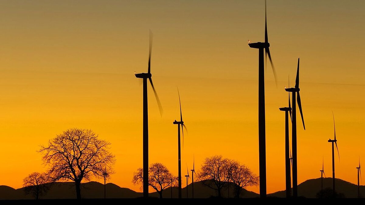 Windräder vor Sonnenuntergang