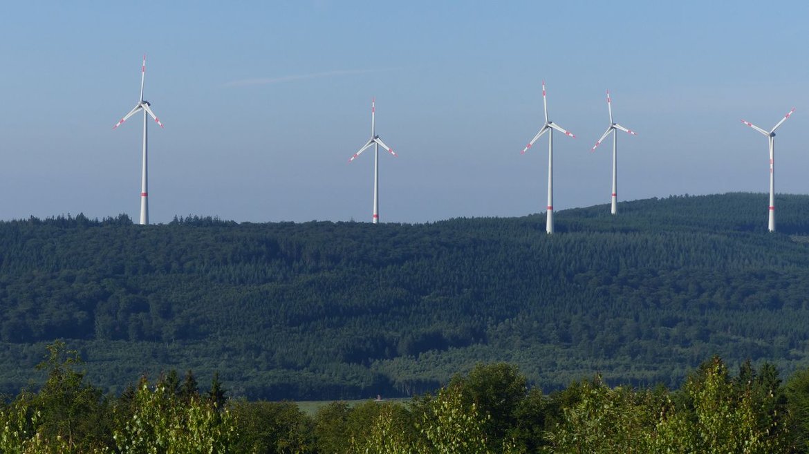 Wind turbines in a wooded area