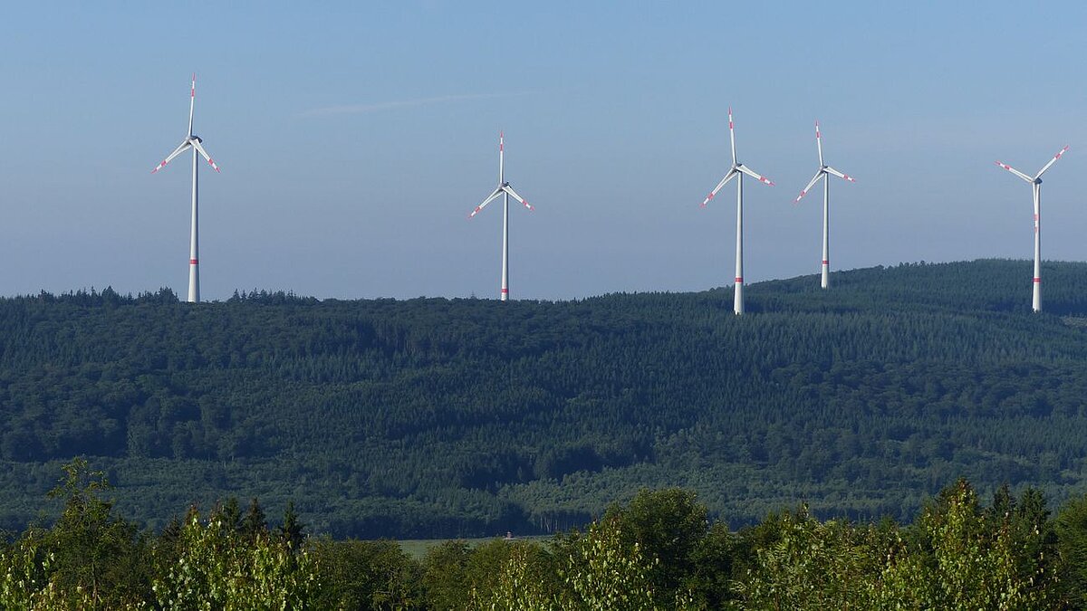 Windräder in einem Waldgebiet