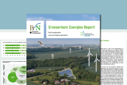 [Translate to English:] Titelseite des EE-Reports