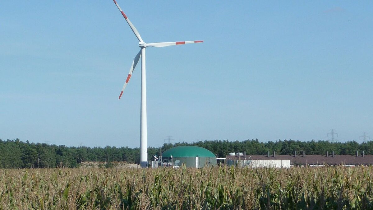 Windrad und Biogasanlage auf einem Feld