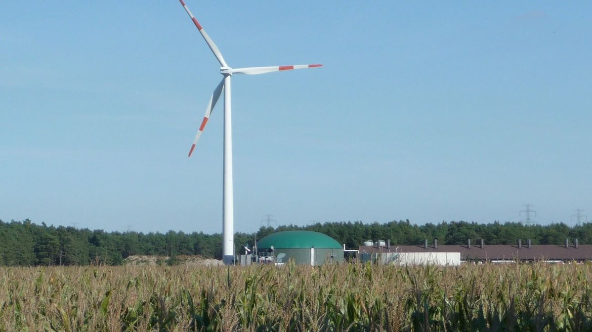 Wind turbine, biogas plant and a maize field