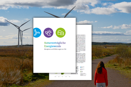 Frau geht eine von Windrädern gesäumte Straße entlang; auf das Bild montiert ist die Titelseite der Broschüre
