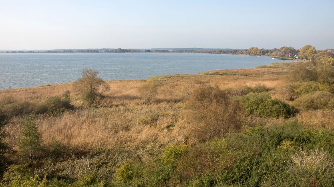 Treeless landscape with lake in the background