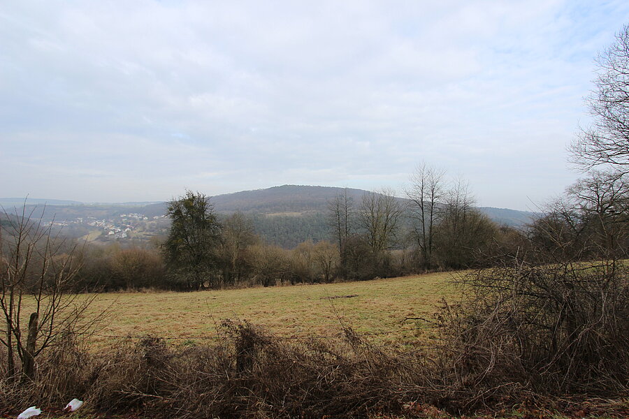 Standort einer Glatthaferwiese im Mittelgebirge