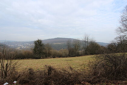 Standort einer Glatthaferwiese im Mittelgebirge