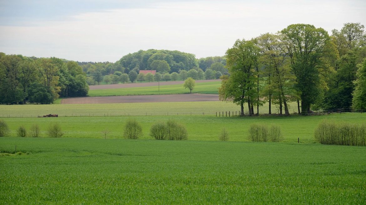 rural landscape