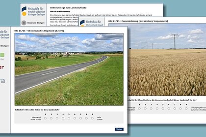 Mehrere Screenshots der Online-Befragung